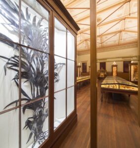 Caroline Rothwell, Urpflanze Street Plants