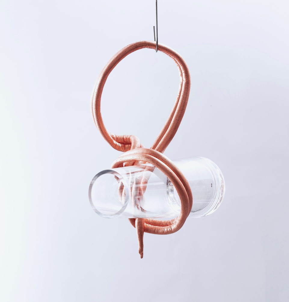 Caroline Rothwell, Tendril, 2024 suspended