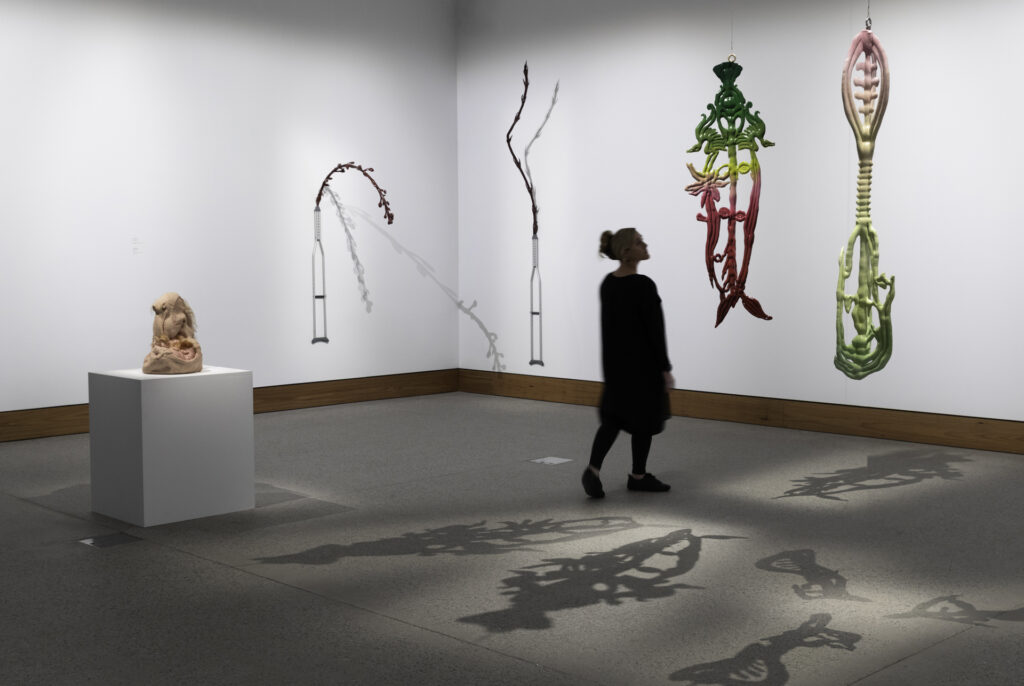 Caroline Rothwell, Interconnect entities, 2025