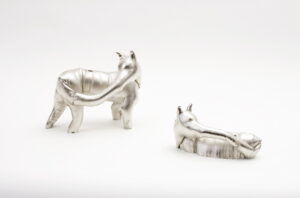 Caroline Rothwell, Tygers of Exotopos